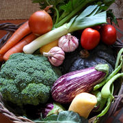 Les petites annonces du Relais Nature